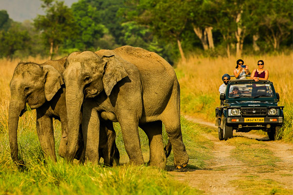 Gypsy Safari in Corbett